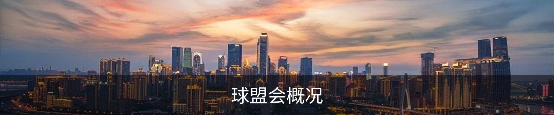 球盟会概况